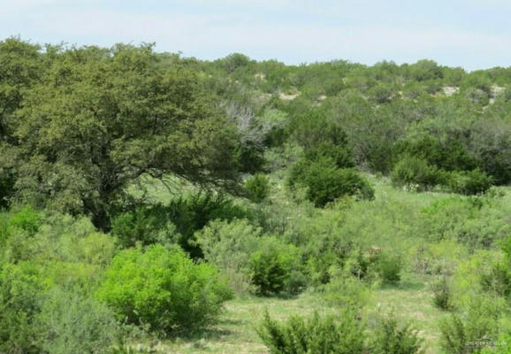 15 N SAN JULIAN RD, ROMA, TX 78584 - Image 1