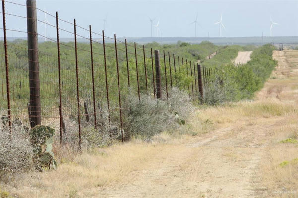 0 NE LOMA BLANCA ROAD NE, ROMA, TX 78584, photo 2 of 45